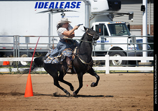 Regulators at the Larimer County Fair 2024