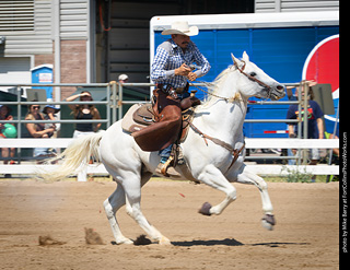 Regulators at the Larimer County Fair 2024