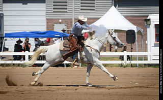 Regulators at the Larimer County Fair 2024