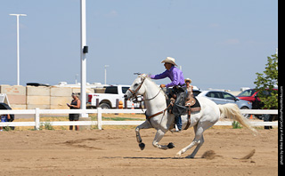 Regulators at the Larimer County Fair 2024