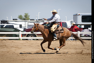 Regulators at the Larimer County Fair 2024