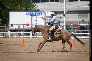 Regulators at the Larimer County Fair 2024
