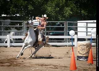 Regulators at the Larimer County Fair 2024