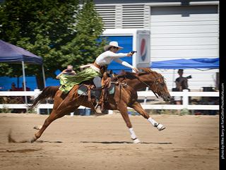 Regulators at the Larimer County Fair 2024