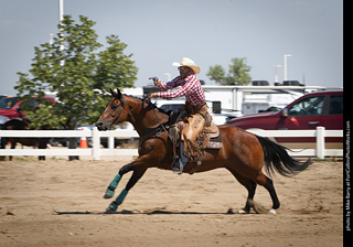 Regulators at the Larimer County Fair 2024