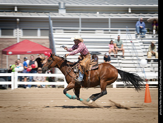 Regulators at the Larimer County Fair 2024