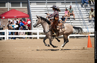 Regulators at the Larimer County Fair 2024