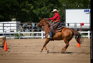 Regulators at the Larimer County Fair 2024