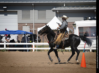 Regulators at the Larimer County Fair 2024