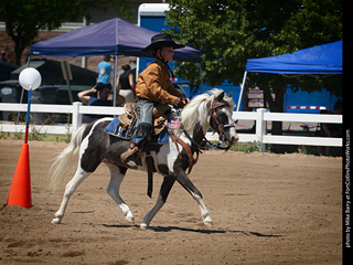 Regulators at the Larimer County Fair 2024