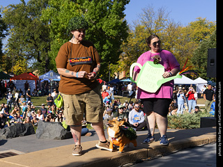 2024 Tour de Corgi - contest