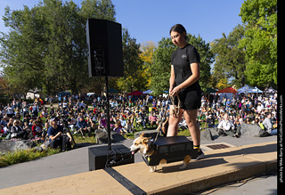 2024 Tour de Corgi - contest