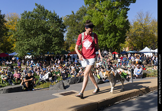 2024 Tour de Corgi - contest