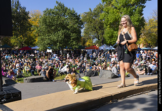 2024 Tour de Corgi - contest