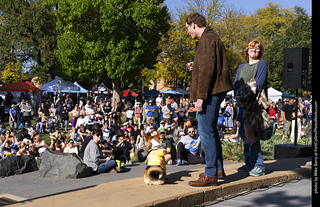 2024 Tour de Corgi - contest