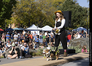 2024 Tour de Corgi - contest