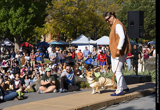 2024 Tour de Corgi - contest