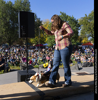 2024 Tour de Corgi - contest