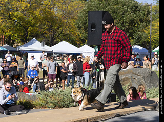 2024 Tour de Corgi - contest