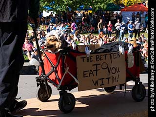 Tour de Corgi - Contest #2