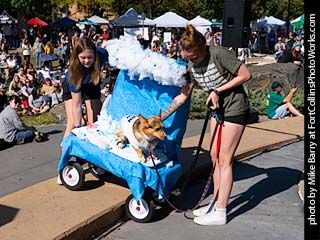 Tour de Corgi - Contest #3