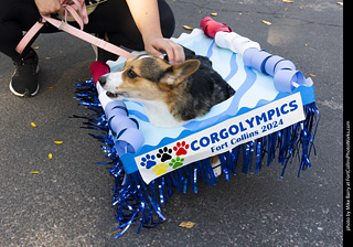 2024 Tour de Corgi - guests