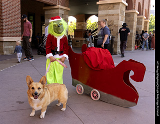 2024 Tour de Corgi - guests