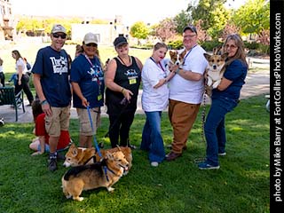 Tour de Corgi - Staff #1