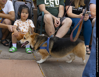 2024 Tour de Corgi - tour