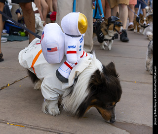 2024 Tour de Corgi - tour