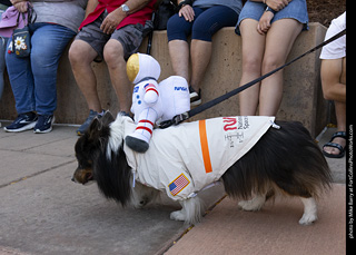 2024 Tour de Corgi - tour