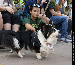 2024 Tour de Corgi - tour