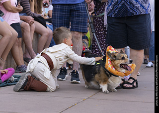 2024 Tour de Corgi - tour