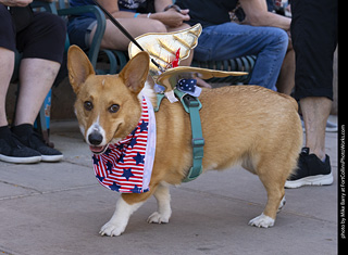 2024 Tour de Corgi - tour