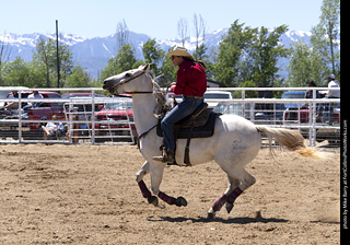 Never Summer Rodeo 2025