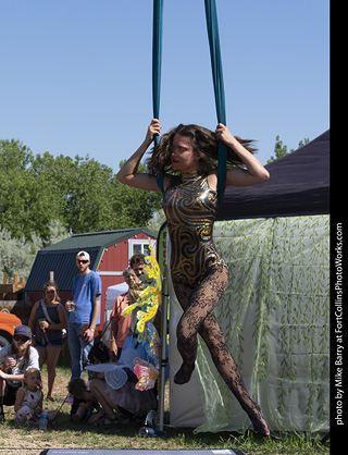 Colorado Medieval Festival 2026