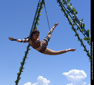 Colorado Medieval Festival 2026